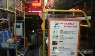 國珍太火了,cctv1套 2套 3套 4套 7套 10套 13套都在播放