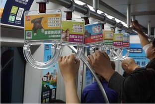 資訊類app實力派扎推 細分垂直領(lǐng)域才能走到最后