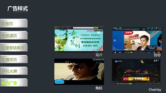 愛(ài)奇藝信息 北京市信譽(yù)好的愛(ài)奇藝全站廣告推廣公司